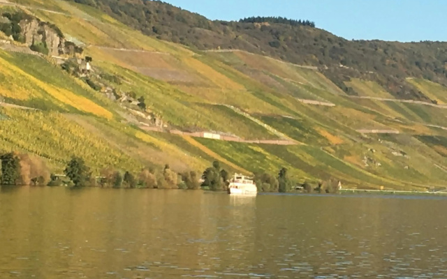 Ferienwohnung Mosel