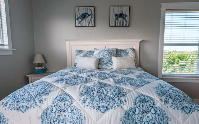 Blue Calypso ASL609