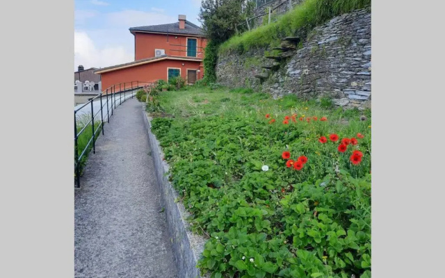 La Finestra Sul Golfo - Citra 010018-Lt-0033 -