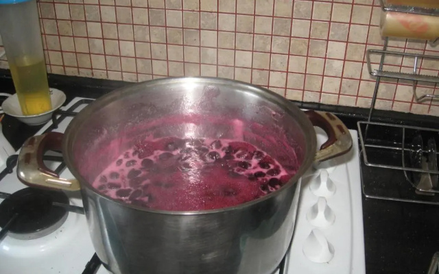 Ekolojik Güney Köy Pembe Köşk