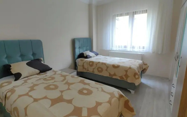 Can Suite Home Life