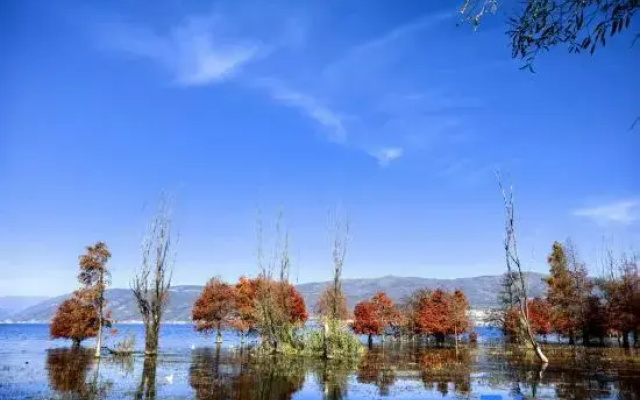 Shi Xi Haven