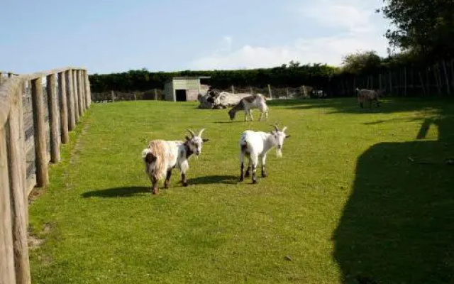 Wooda Farm Holidays