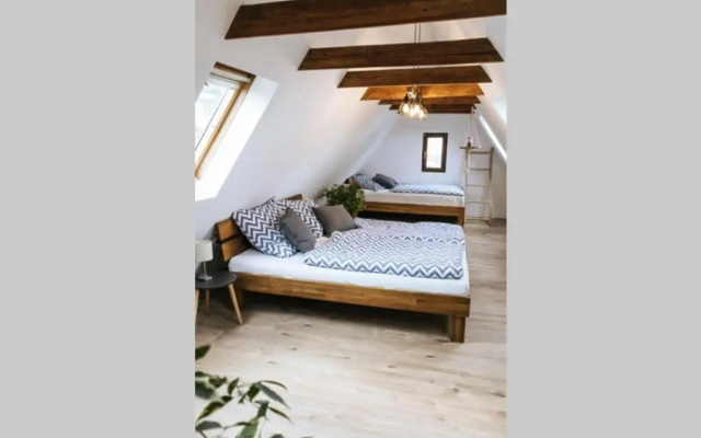 The Cozy Studio Apartment Lauf