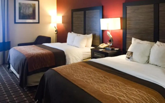 Comfort Inn Edmund Pettus Bridge area