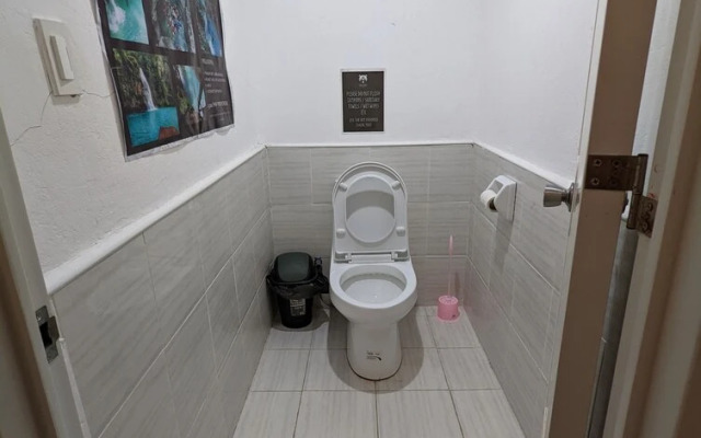 Crazy Bears Hostel