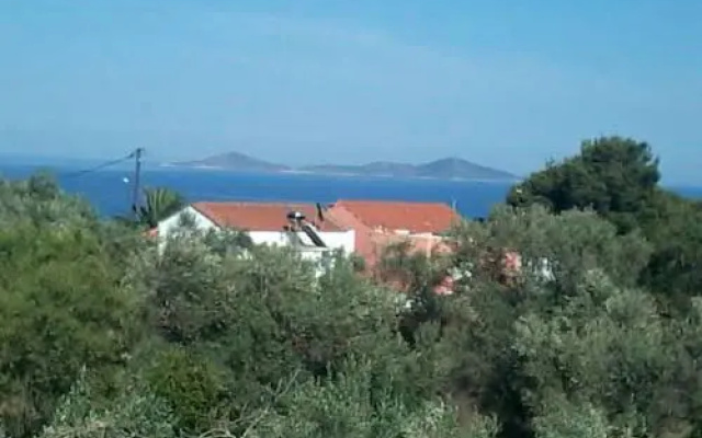Diomas Studios