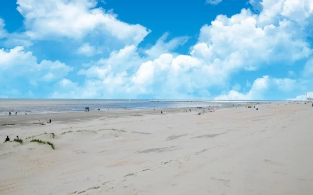 Studio in Belgium Near Beach & Dunes