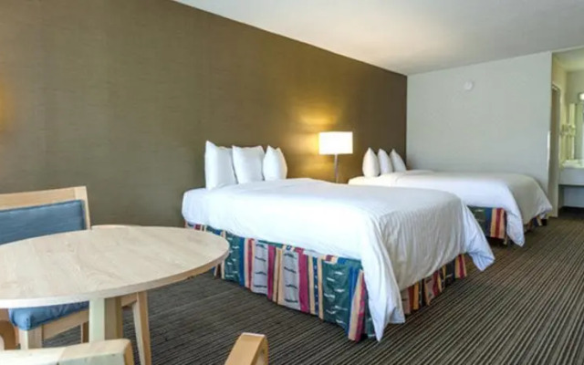 Best Western DeKalb Inn & Suites