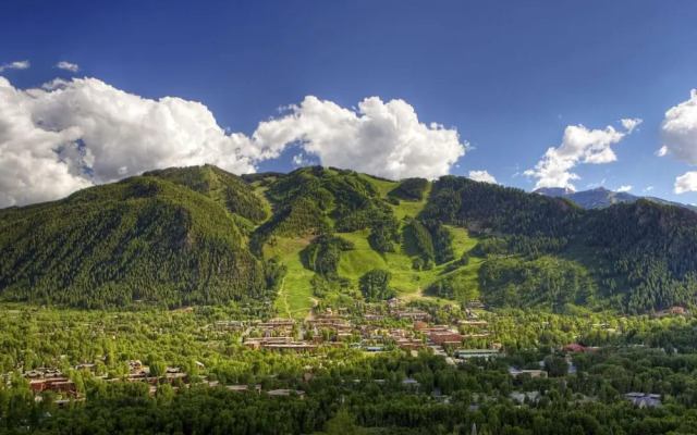 Tamarack Townhome #17