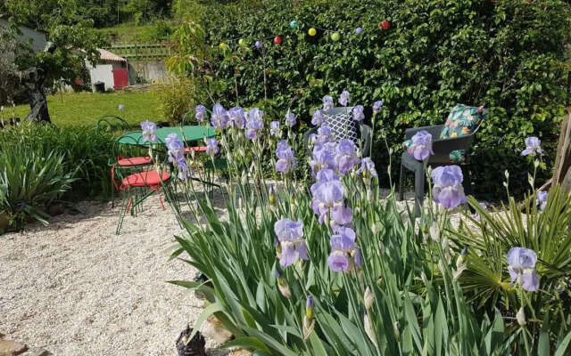 Le Clos du Cedre