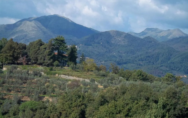 Caddelovi