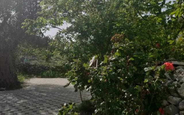 Guest house Maslina