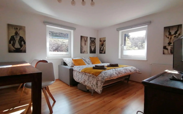 Cosy Apartment in Dienten with mountain view