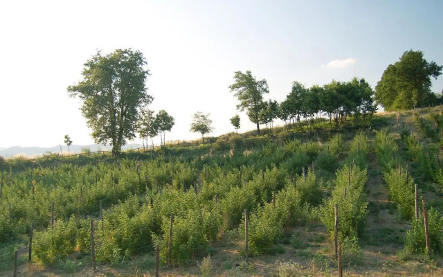 Agriturismo Il Filare