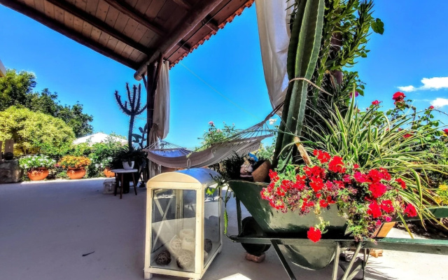 Thymes traditional house