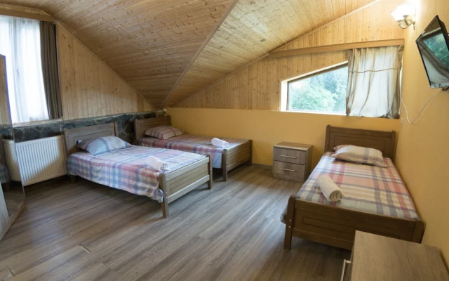 Hotel Eco House In Bakuriani