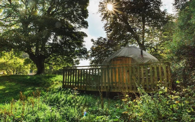 Holly - Yurt-Glamping