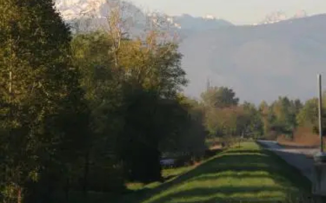 Bozzolo Dorato