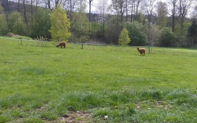 Familie Meimer