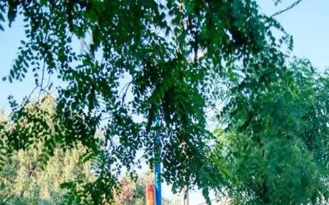 Pedasos Altinel Otel