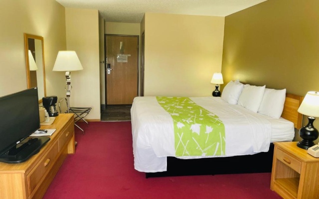 Designer Inn & Suites