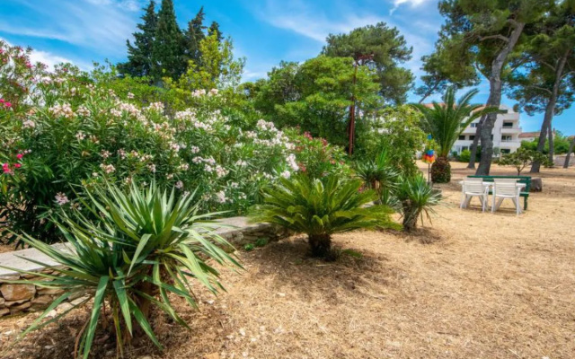 Apartment Mirta Castiglioncello 11734