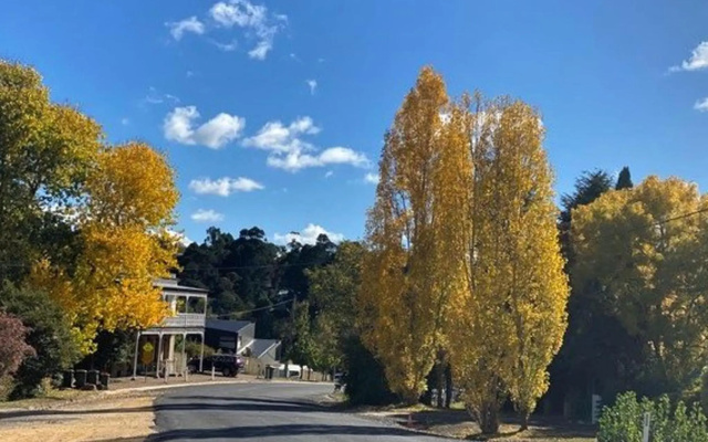 Park Avenue Daylesford