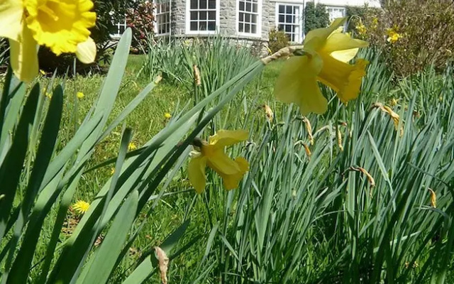The Old Vicarage