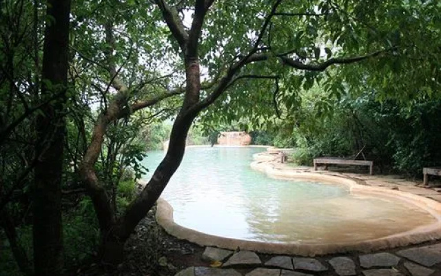 Wildernest Nature Resort