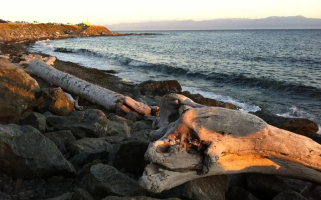 Dashwood Manor Seaside Bed & Breakfast