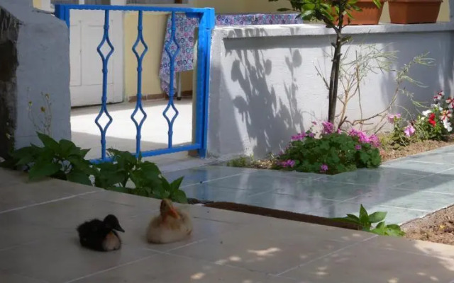 Set2 Motel Pension