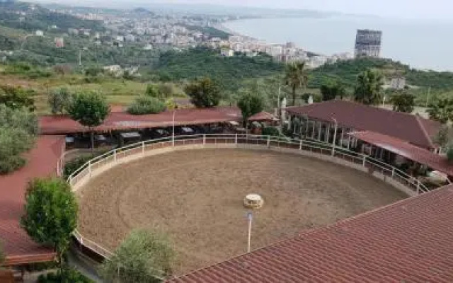 Kodra e Kuajve