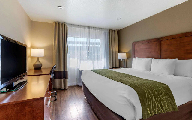 Comfort Inn Bishop