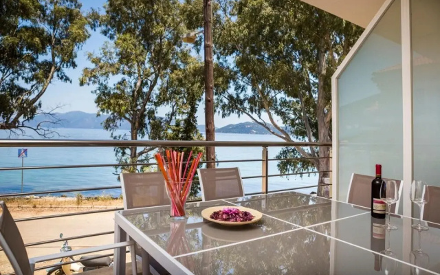 Eucalyptus Apartments Condo Lotos