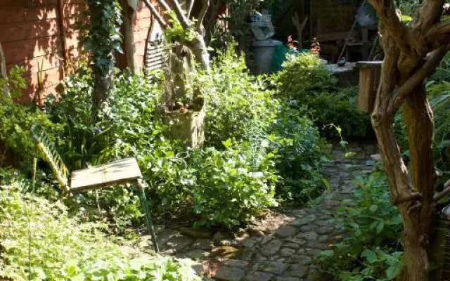 Whitstable Tree House Retreat