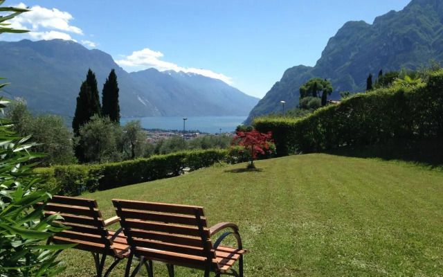 Verde Panorama