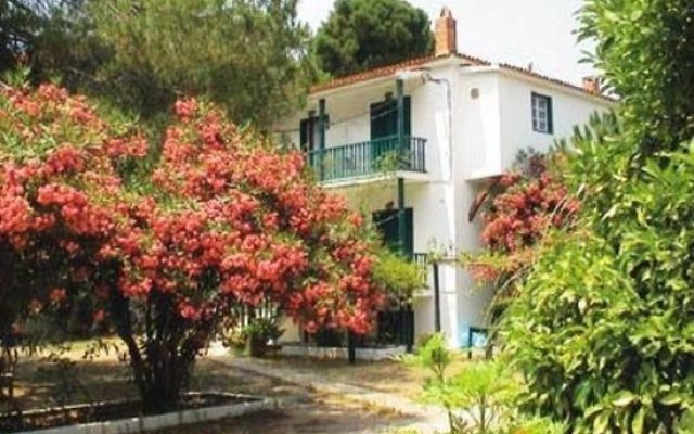 Отель Strophilia Apartments Греция, Скиатос - отзывы, цены и фото номеров - забронировать отель Strophilia Apartments онлайн