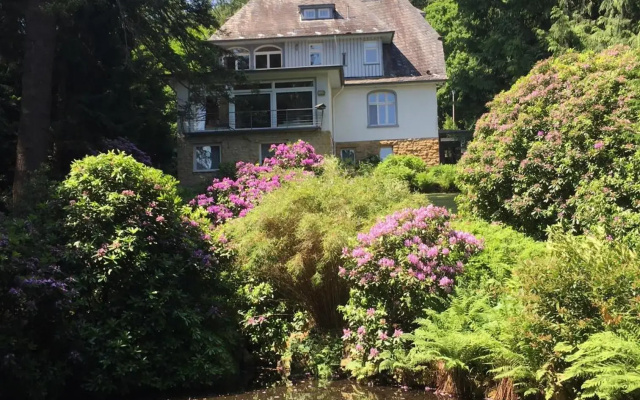 Villa Elfenstein