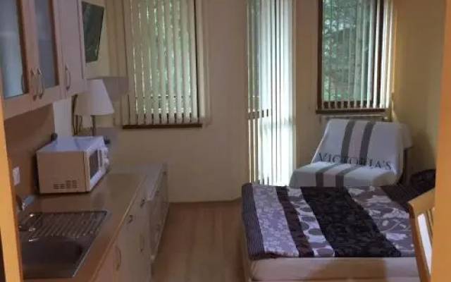 Villa Park Luxury Studio