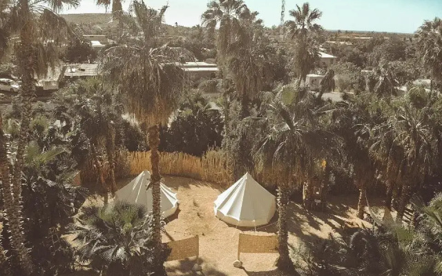 Cien Palmas Tent 2