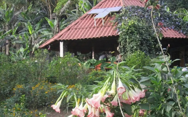 Finca Neblina del Bosque
