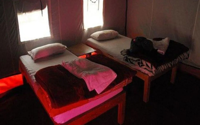 Golden Mark Camp