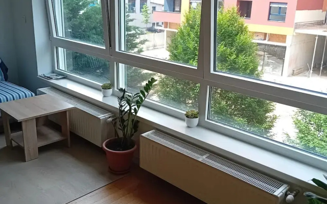 Apartment Cankareva