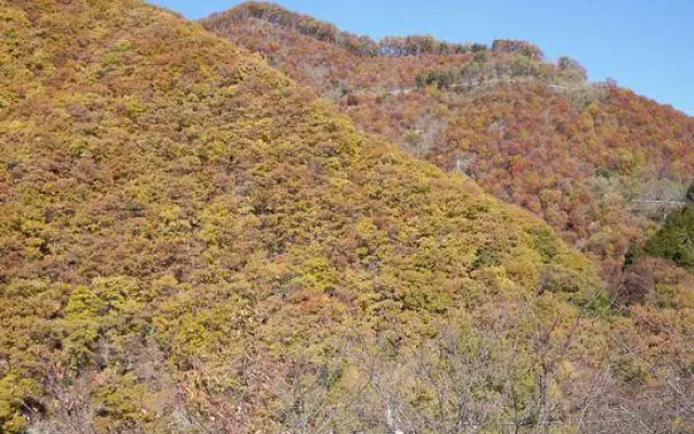 Kainokuni Yamato Nature School