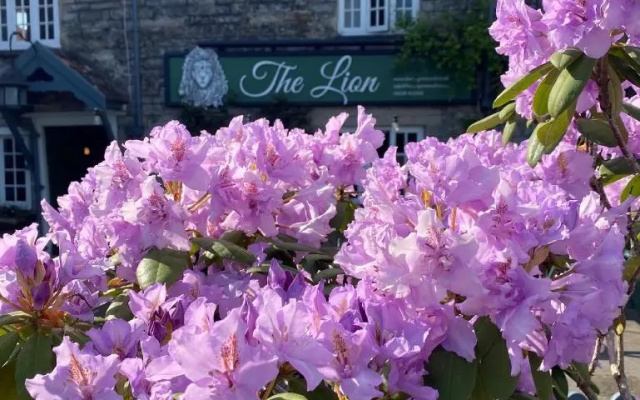 The Lion at West Pennard