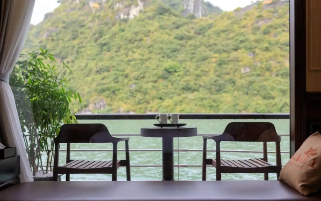 Orchid Trendy Cruise