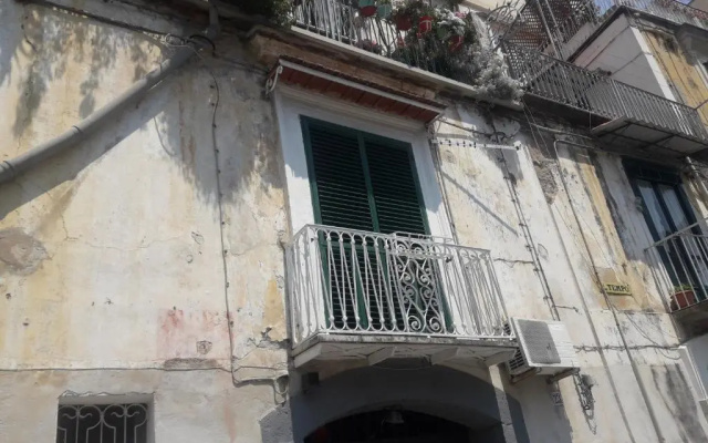 Verdi's house