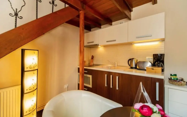 Select City Center Apartments Braşov
