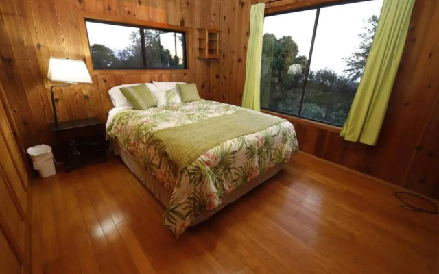 Kona Mamaki House - Entire house